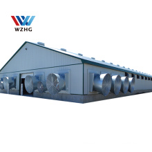 steel structure shed layer eps panel chicken poultry house chicken cow farm building